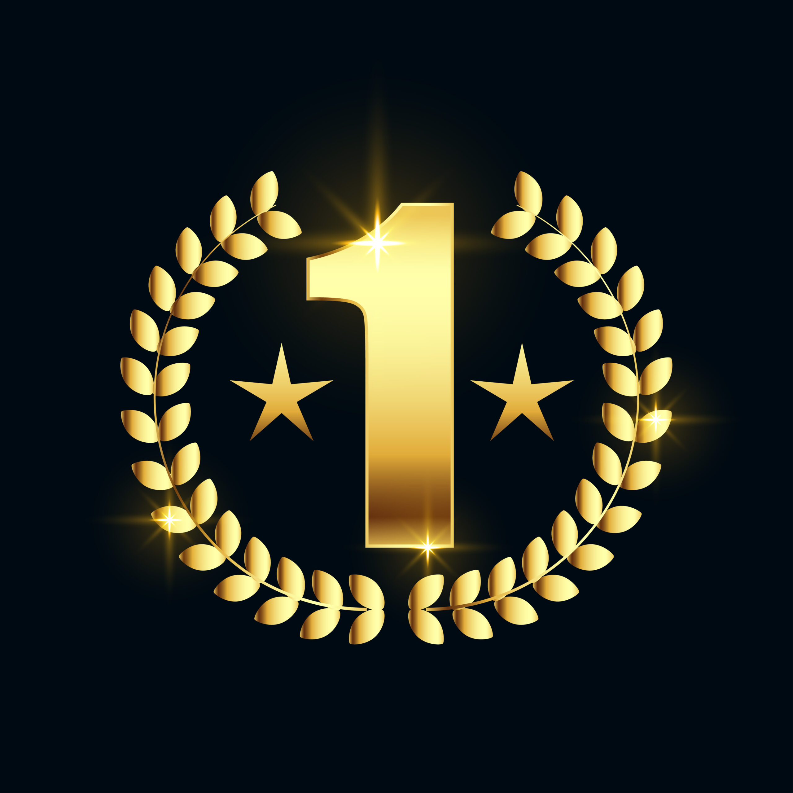 Amman 1 Year Warranty